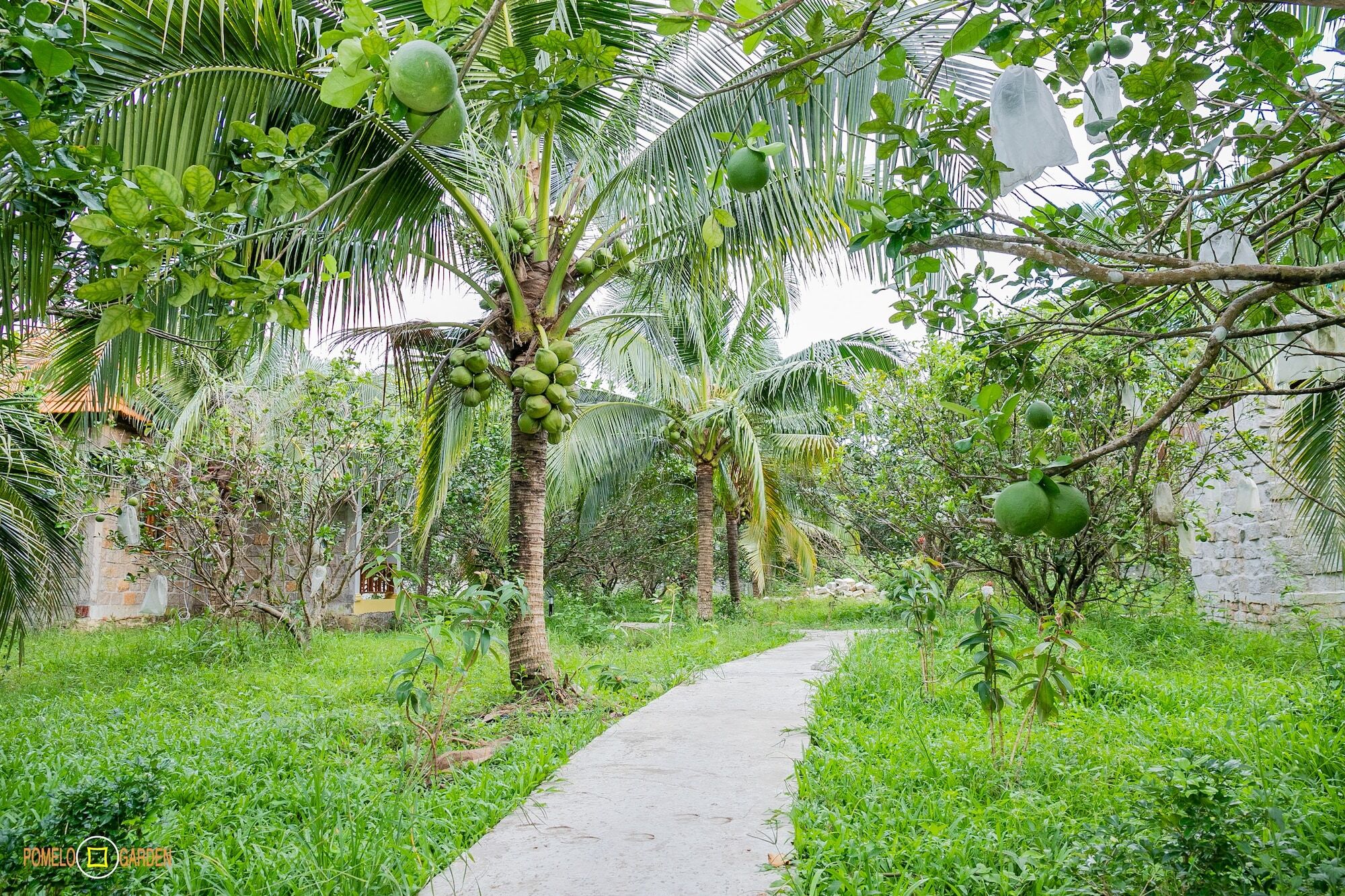 Апартаменты Phu Quoc Pomelo Garden Экстерьер фото