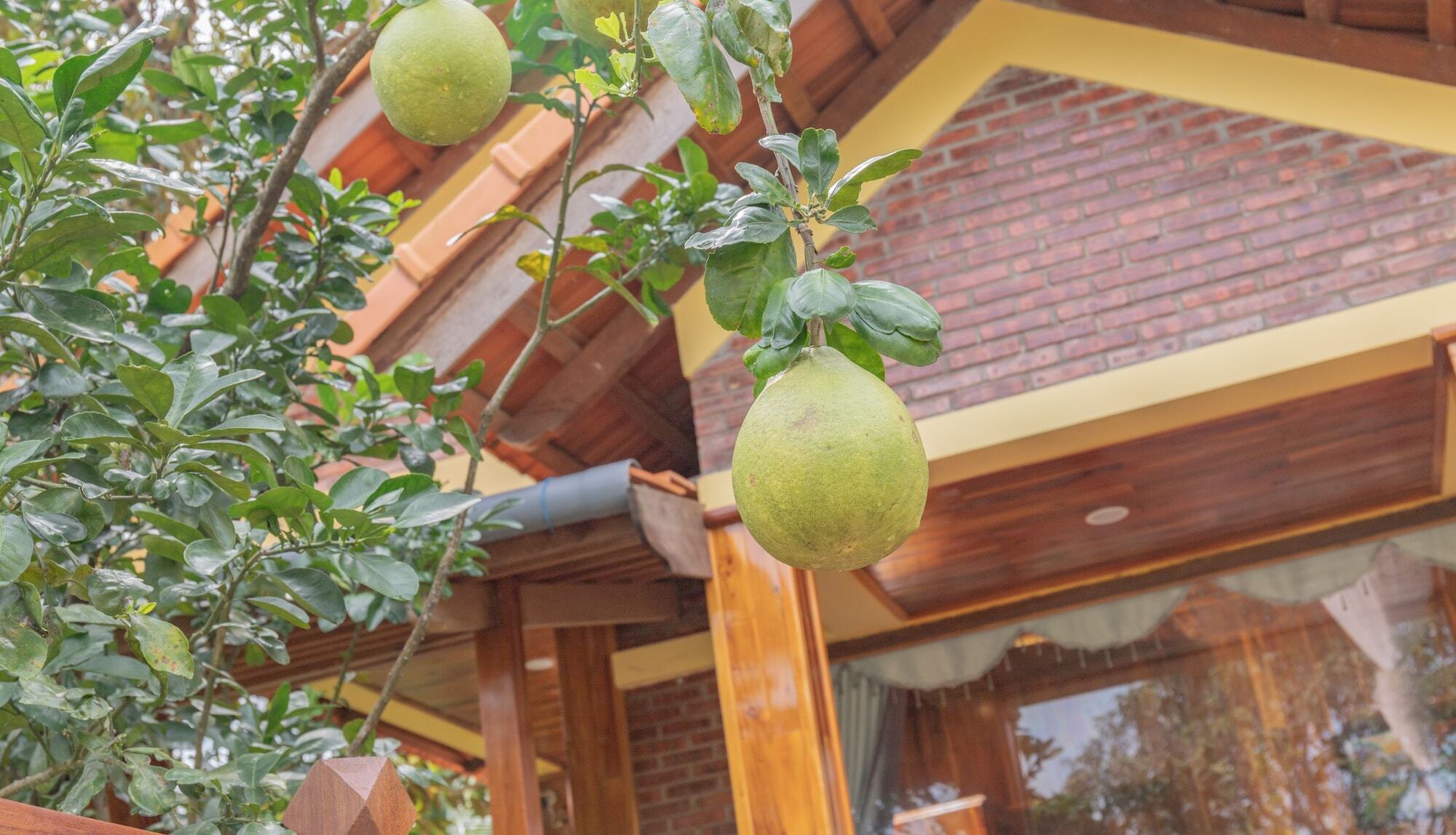 Апартаменты Phu Quoc Pomelo Garden Экстерьер фото